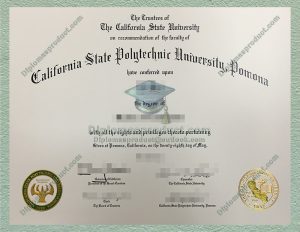 Cal Poly Pomona Diploma, Cal Poly Pomona Degree