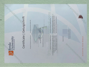 Breda University of Applied Sciences Diploma, Breda University of Applied Sciences Degree