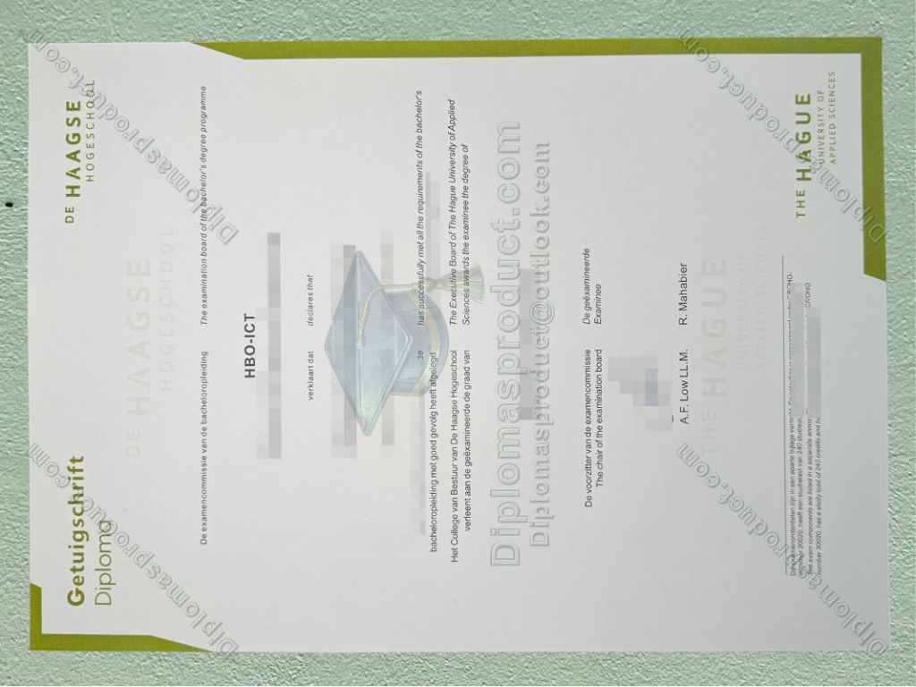 De Haagse Hogeschool Diploma, De Haagse Hogeschool Degree