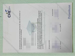 Ede Christian University of Applied Sciences Diploma