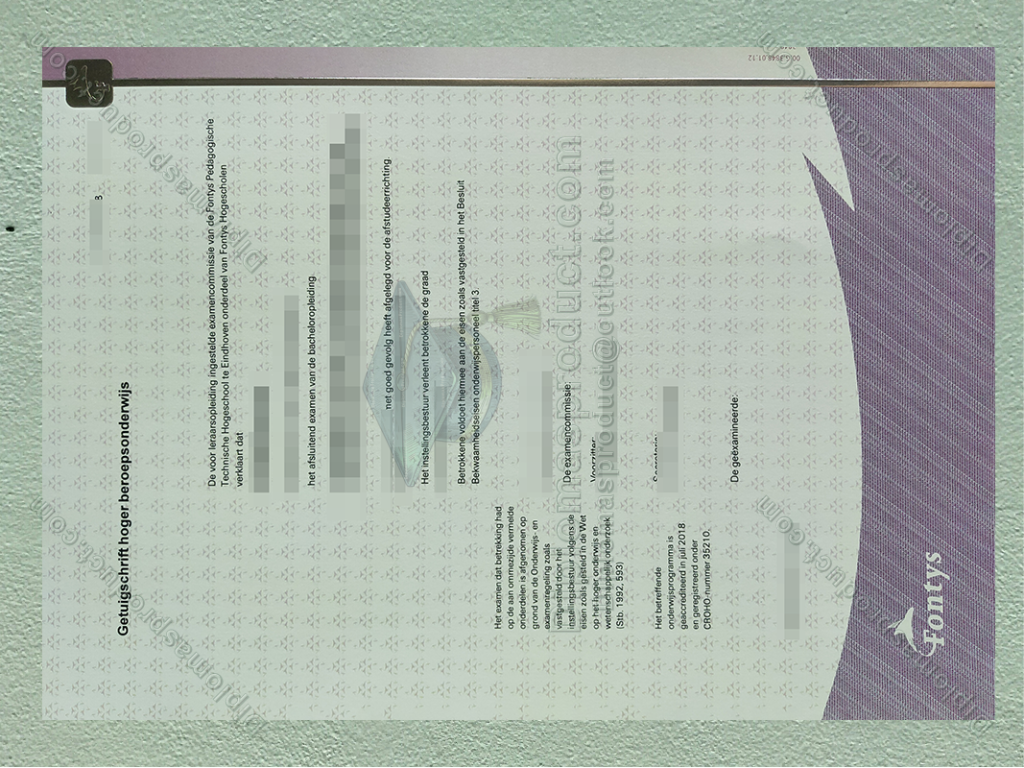 Fontys University of Applied Sciences Diploma, Fontys University of Applied Sciences Degree
