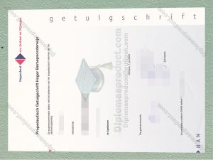 Hogeschool van Arnhem en Nijmegen diploma, Hogeschool van Arnhem en Nijmegen degree