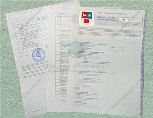 Kaunas University of Technology Transcript, Kaunas University of Technology Degree