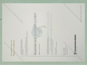 Linnaeus University certificate, Linnaeus University degree