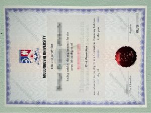 Mulungushi University Diploma, Mulungushi University Degree