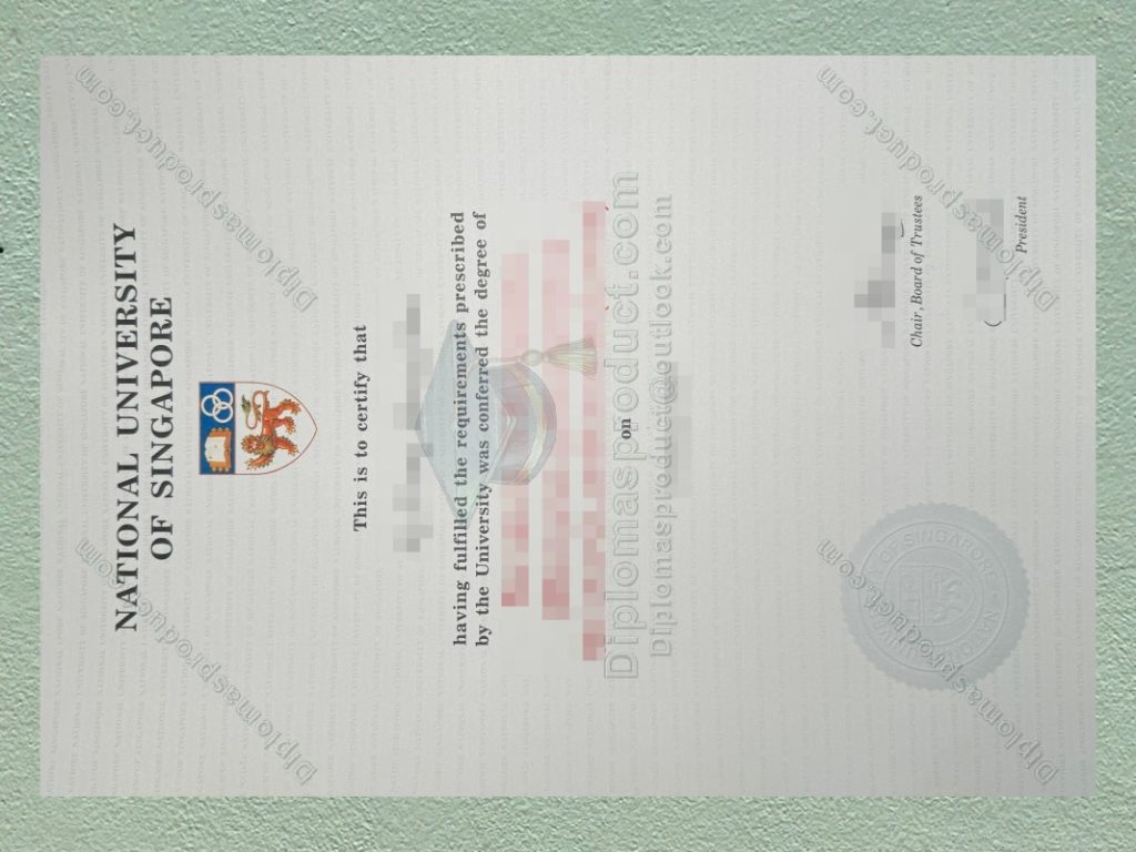National University of Singapore Diploma, National University of Singapore Degree