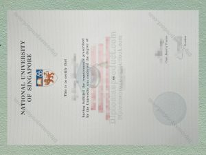 National University of Singapore Diploma, National University of Singapore Degree