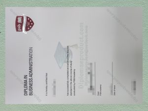 PSB Academy Diploma, PSB Academy Degree