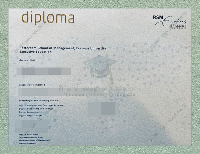 RSM Diploma, Rotterdam School Of Management Degree RSM Diploma, Rotterdam School Of Management Degree