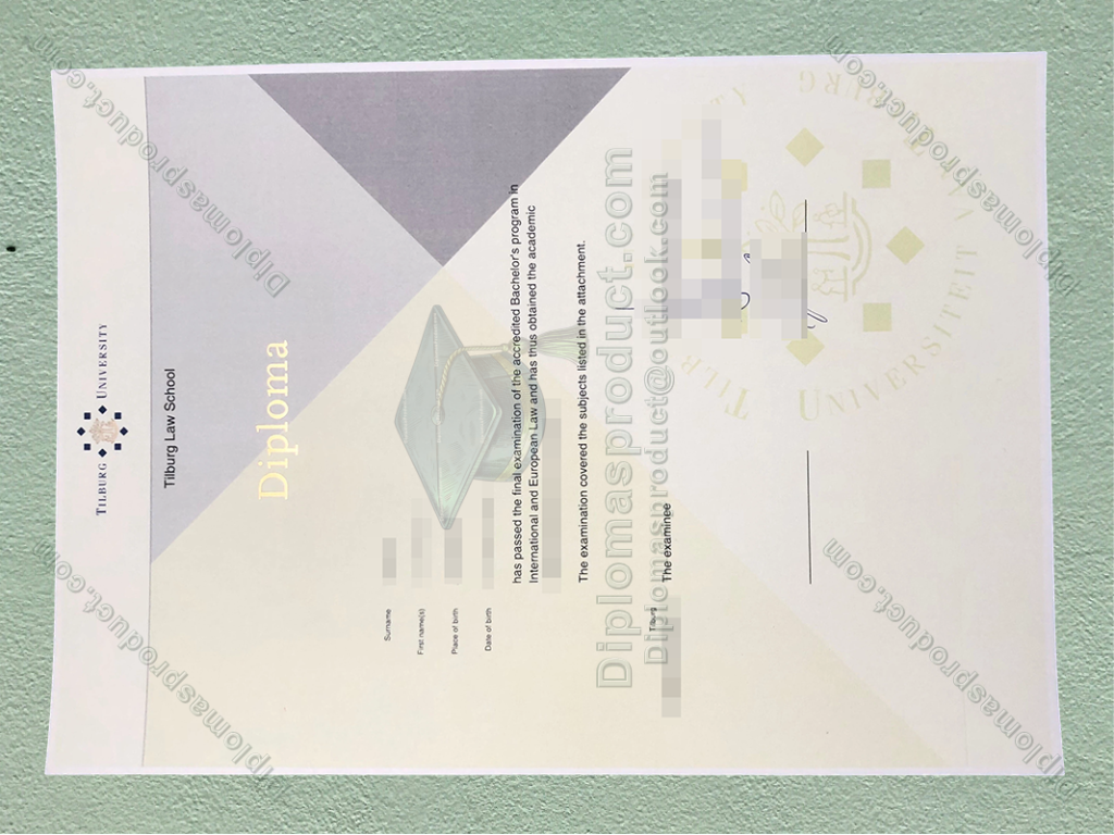 Tilburg University diploma, Tilburg University degree
