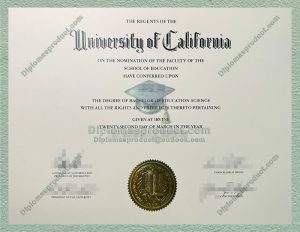 UC Irvine Diploma, UC Irvine Degree