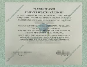 Universitatis Yalensis Diploma, Universitatis Yalensis Degree