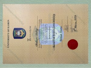 University of Ilorin Diploma, University of Ilorin Degree