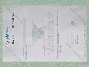 Vrije Universiteit Amsterdam Diploma, Vrije Universiteit Amsterdam Degree