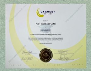 Camosun College diploma, Camosun College degree