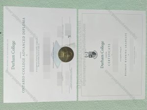 Durham College Diploma, Durham College Certificate