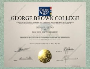 George Brown College Degree, George Brown College Diploma
