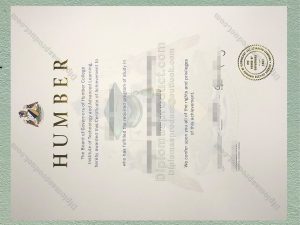 Humber College Diploma, Humber College Degree