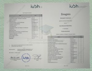 IUBH Zeugnis, IUBH Degree