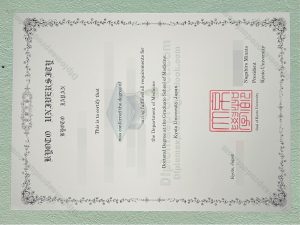 Kyoto University Diploma, Kyoto University Degree