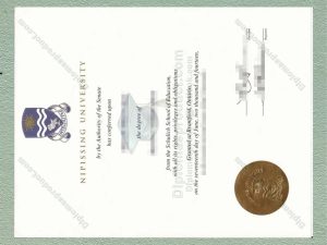 Nipissing University diploma, Nipissing University degree