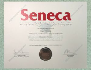 Seneca College Diploma, Seneca College Degree