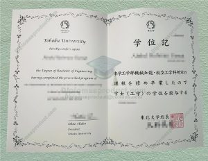Tohoku University diploma, Tohoku University degree