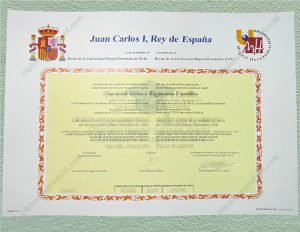Universidad Miguel Hernández Diploma, Universidad Miguel Hernández Degree