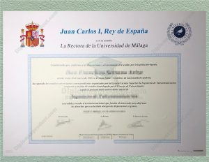 Universidad de Málaga diploma, Universidad de Málaga degree