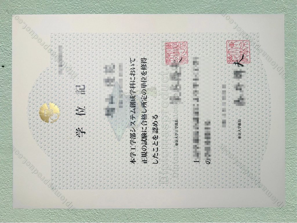 University of Tokyo Diploma, University of Tokyo Degree