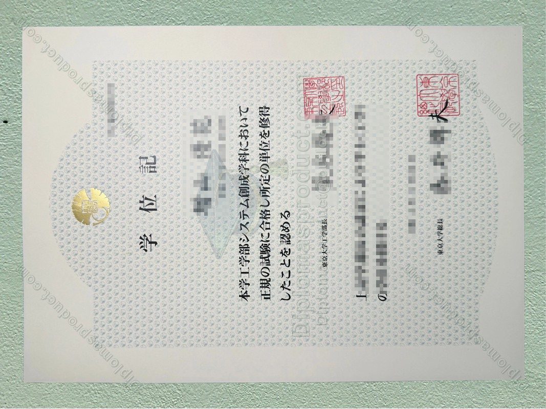 University of Tokyo Diploma, University of Tokyo Degree