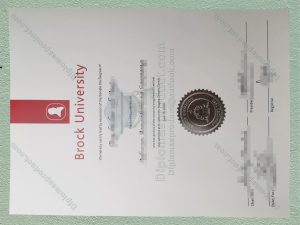 brock university Diploma, brock university Degree