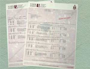 york university Transcript, york university Degree