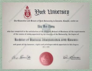 york university degree, york university diploma