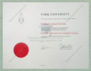 york university diploma, york university degree