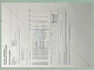 Brunel University London Transcript, Brunel University London Degree