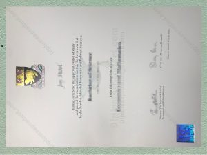 London School of Economics Diploma, London School of Economics Degree