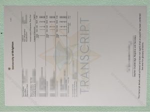 University of Brighton Transcript, University of Brighton Degree